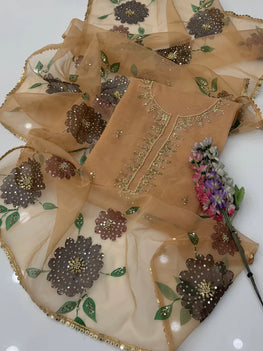 Handwork Stones And Beads Work Organza Oil Paint 🎨 2 Pc 👗